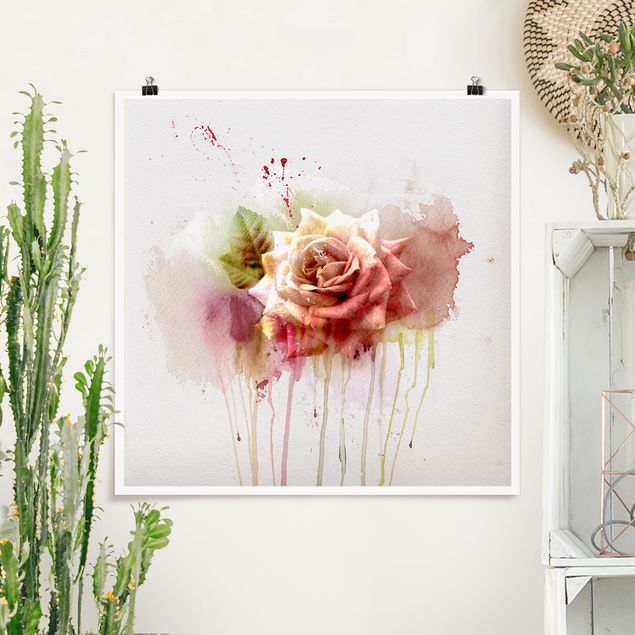 Posters Watercolour Rose