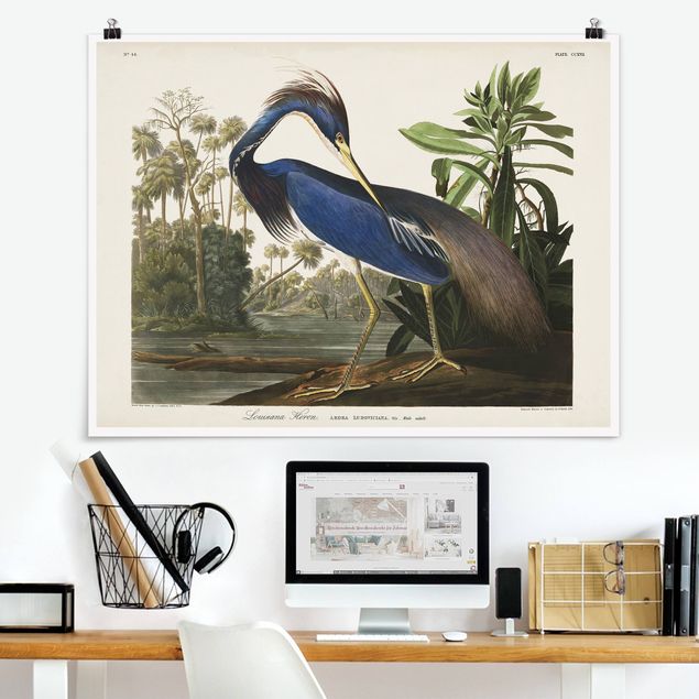 Posters Vintage Board Louisiana Heron