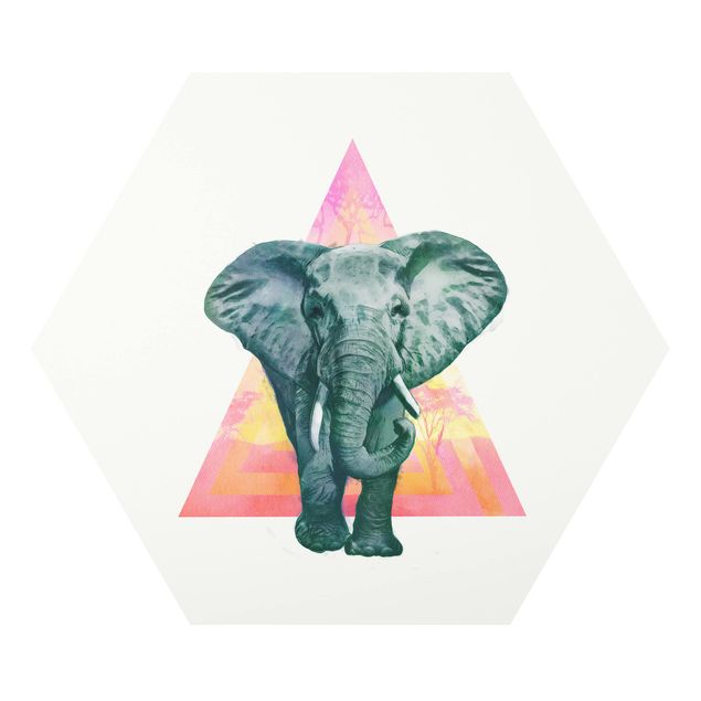 Hexagons Forex schilderijen Illustration Elephant Front Triangle Painting