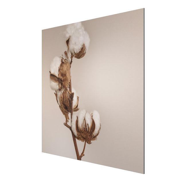 Aluminium Dibond schilderijen Fragile Cotton Twig