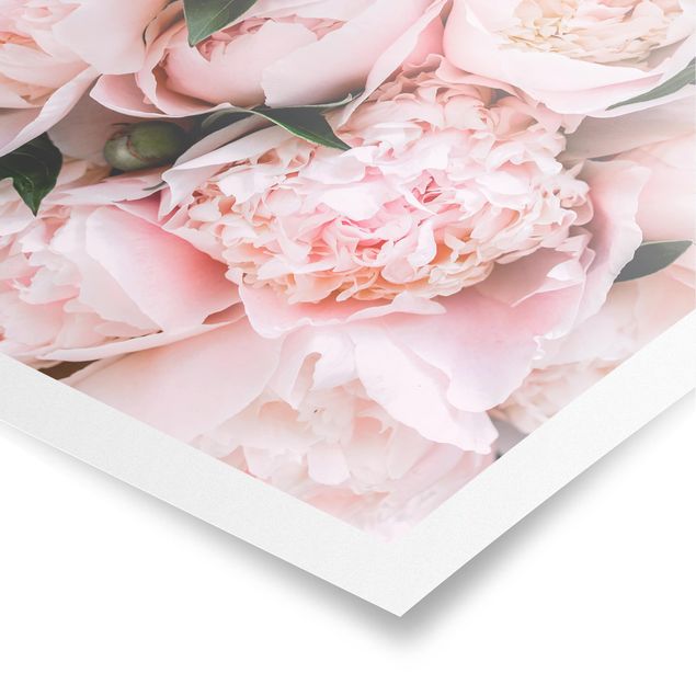 Posters Pink Peonies With Leaves