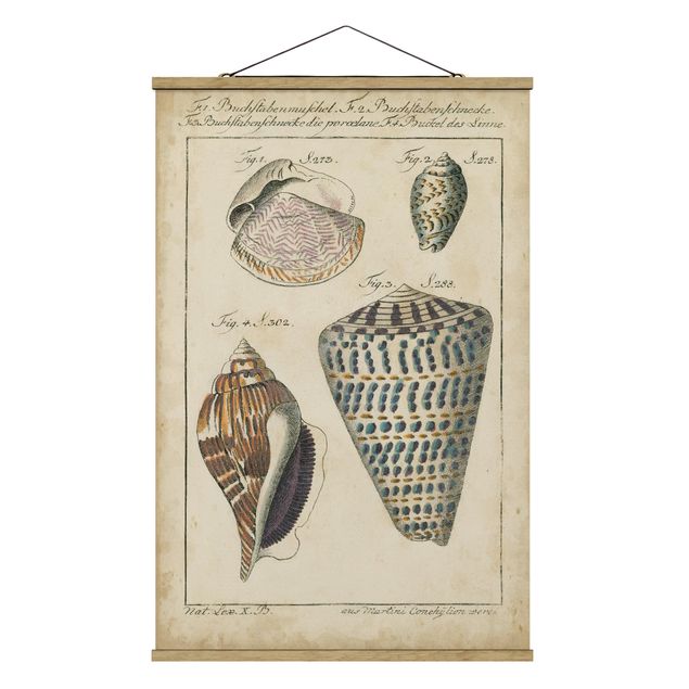 Stoffen schilderij met posterlijst Vintage Conch Drawing Pattern Bunte