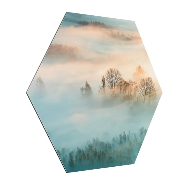 Hexagons Aluminium Dibond schilderijen Fog At Sunrise