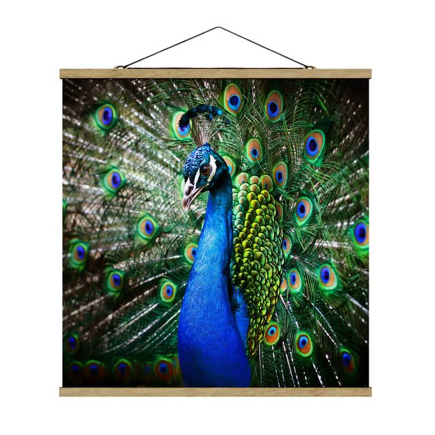 Stoffen schilderij met posterlijst Noble Peacock