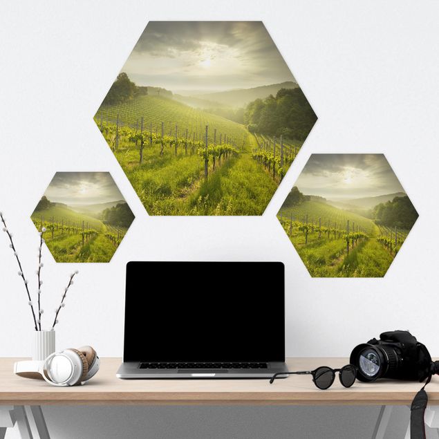 Hexagons Forex schilderijen Sunrays Vineyard
