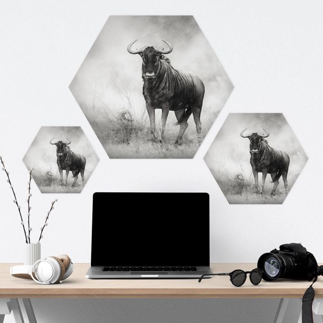Hexagons Forex schilderijen Staring Wildebeest