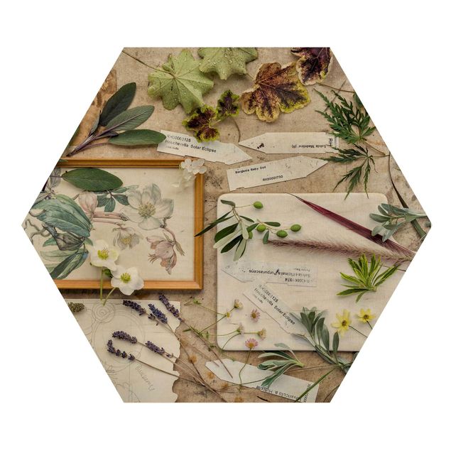 Hexagons houten schilderijen Flowers And Garden Herbs Vintage
