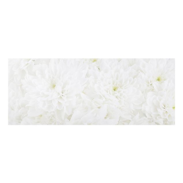 Spatscherm keuken Dahlias Sea Of Flowers White