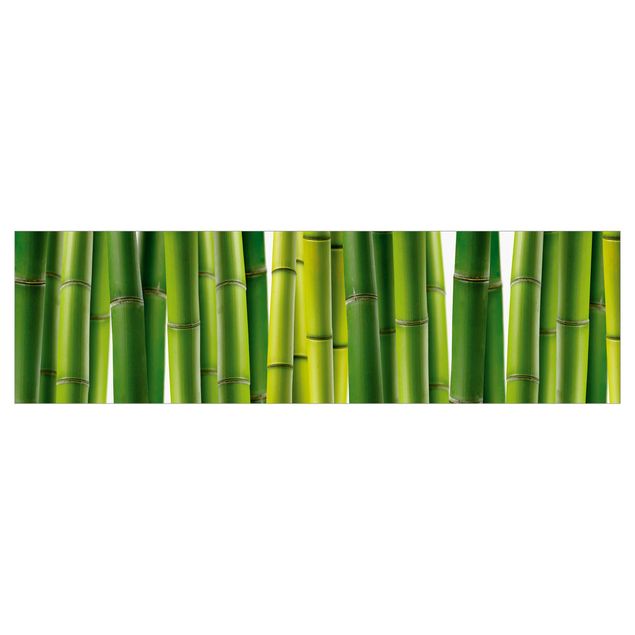 Keukenachterwanden Bamboo Plants II