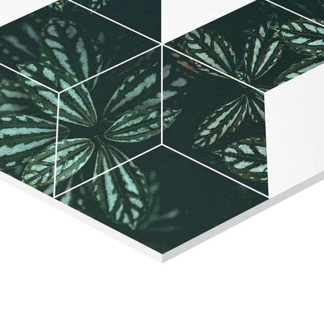 Hexagons Forex schilderijen - 6-delig Green Leaves Geometry Set II
