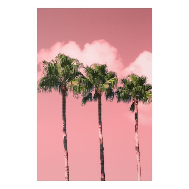 Forex schilderijen Palm Trees Against Sky Pink