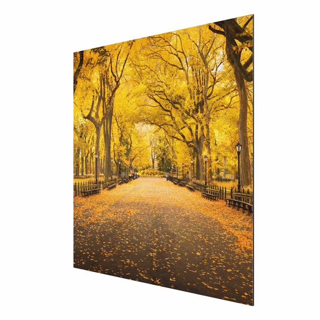 Aluminium Dibond schilderijen Autumn In Central Park