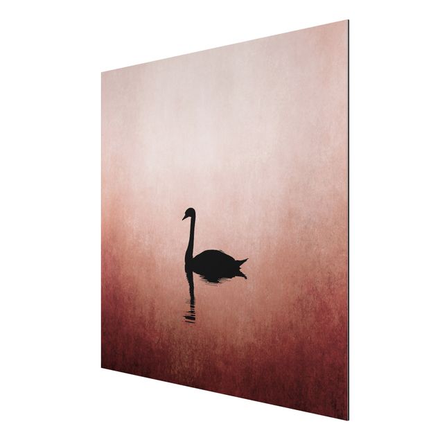 Aluminium Dibond schilderijen Swan In Sunset