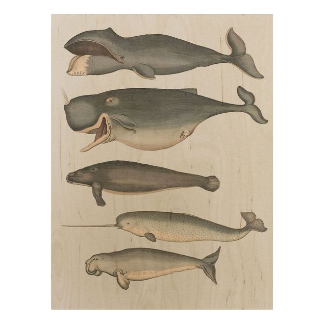 Houten schilderijen Five Vintage Whales