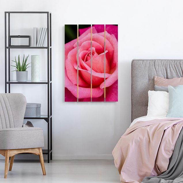Houten schilderijen op plank Pink Rose Flowers Green Backdrop