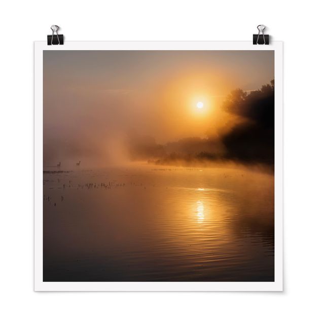 Posters Sunrise on the lake with deers in the fog