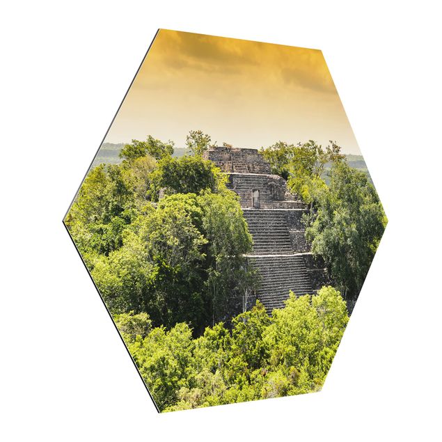 Hexagons Aluminium Dibond schilderijen Pyramid of Calakmul