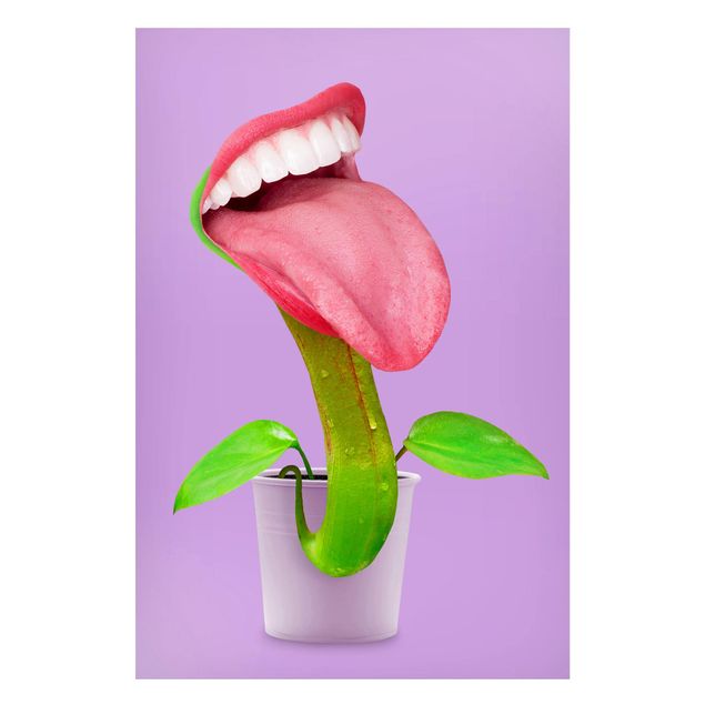 Magneetborden Carnivorous Plant With Mouth