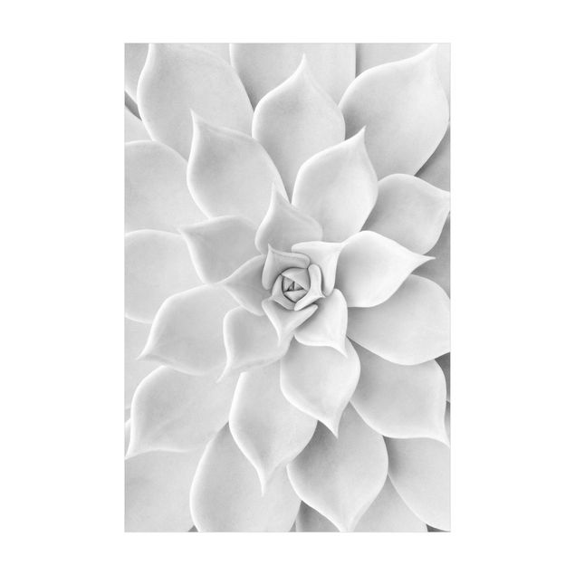 Vloerkleed zwart wit Cactus Succulent