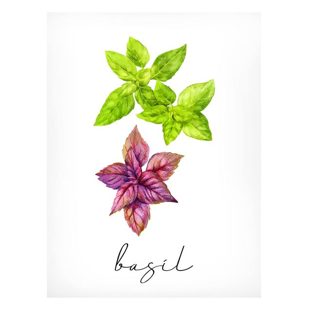 Magneetborden Herbs Illustration Basil