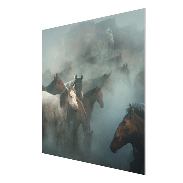 Forex schilderijen Wild Horses