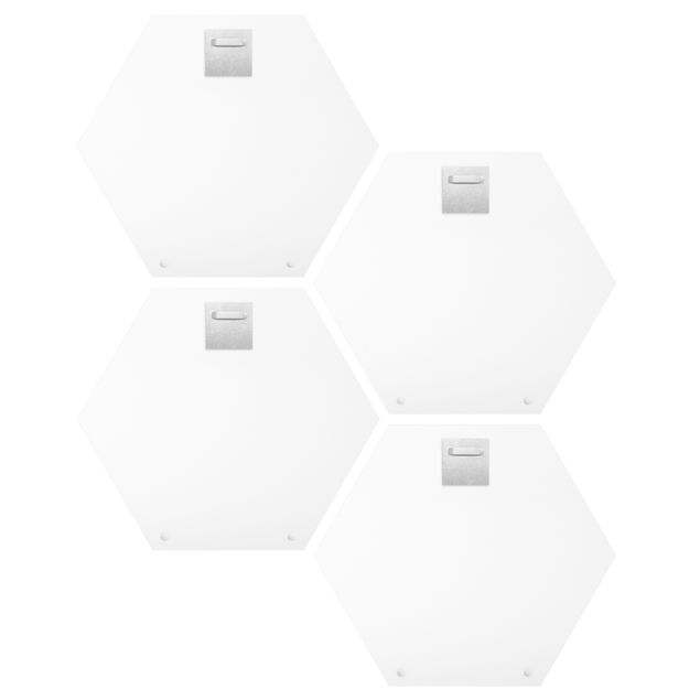 Hexagons Forex schilderijen - 4-delig Animals With Wisdom Set I