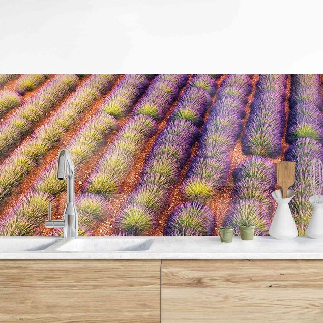 Achterwand voor keuken bloemen Picturesque Lavender Field