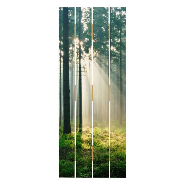 Houten schilderijen op plank Enlightened Forest