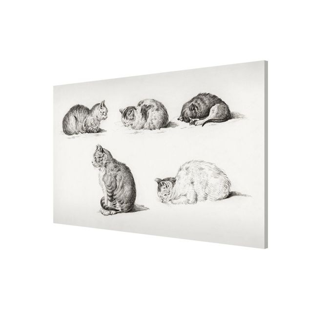 Magneetborden Vintage Drawing Cat I