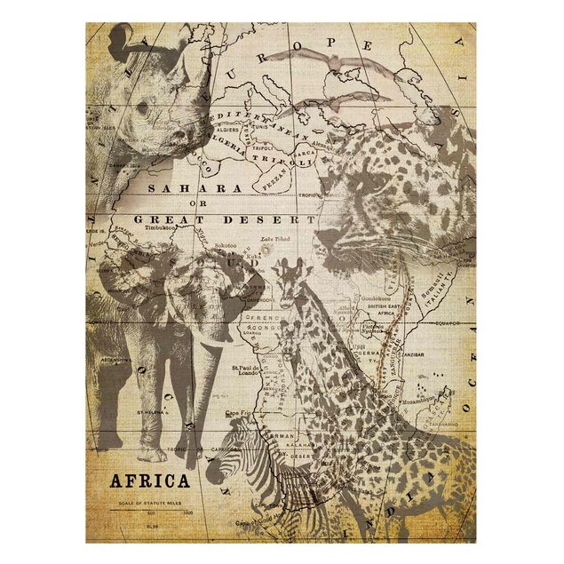 Magneetborden Vintage Collage - Africa Wildlife