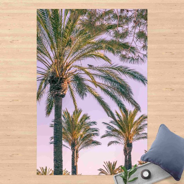 balkon tapijt Palm Trees At Sunset