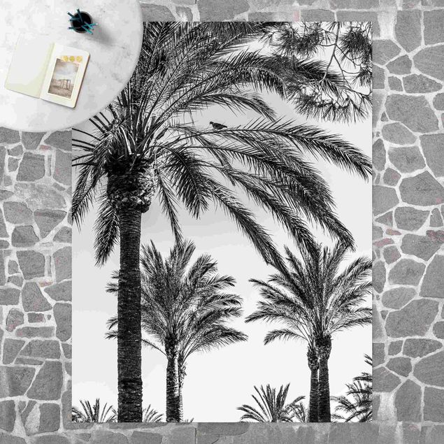 buitenkleed balkon Palm Trees At Sunset Black And White