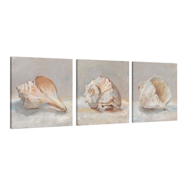 Canvas schilderijen - 3-delig Shell Study Set I