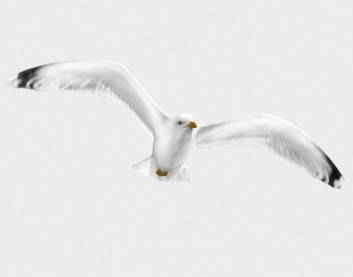 Raamstickers Flying Gull
