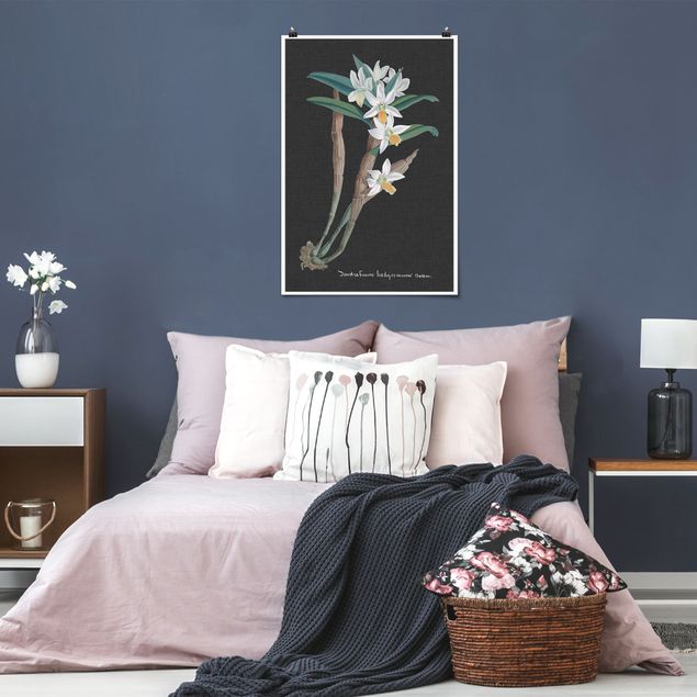 Posters White Orchid On Linen I