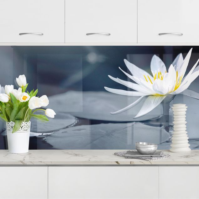 Achterwand voor keuken bloemen Lotus Reflection In The Water