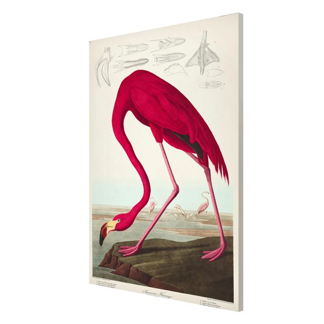 Magneetborden Vintage Board American Flamingo