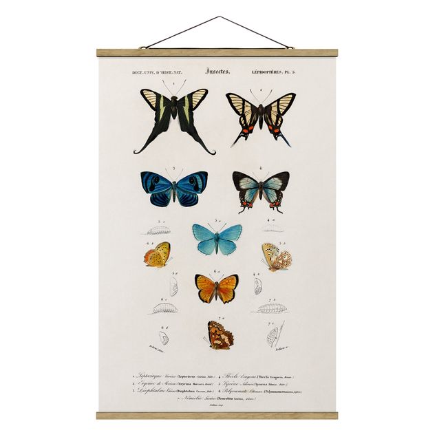Stoffen schilderij met posterlijst Vintage Board Butterflies I