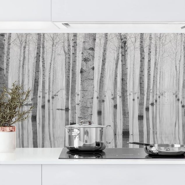 Achterwand voor keuken en zwart en wit Birches In November
