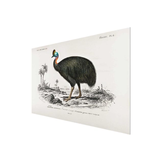 Glasschilderijen Vintage Board Emu