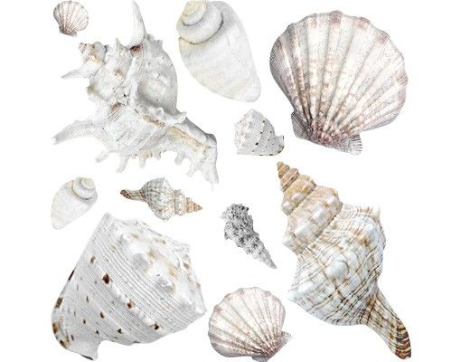 Muurstickers No.BP24 Exotic Shells