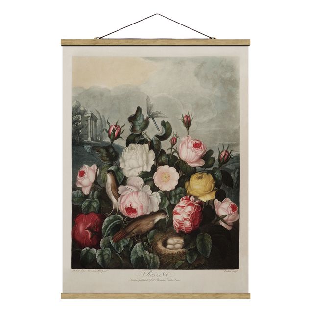 Stoffen schilderij met posterlijst Botany Vintage Illustration Of Roses