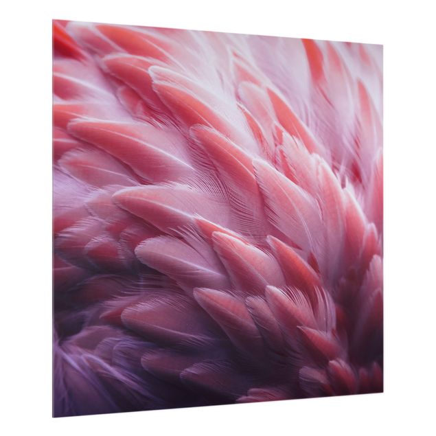 Spatscherm keuken Flamingo Feathers Close-Up
