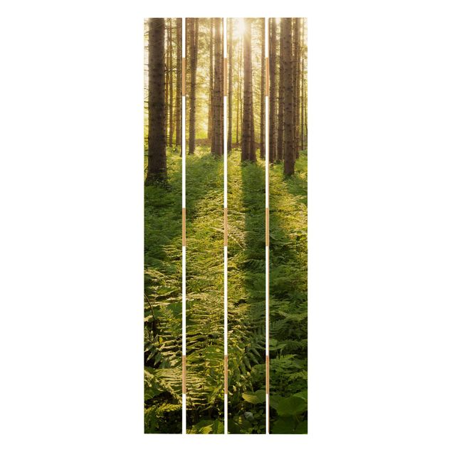 Houten schilderijen op plank Sun Rays In Green Forest