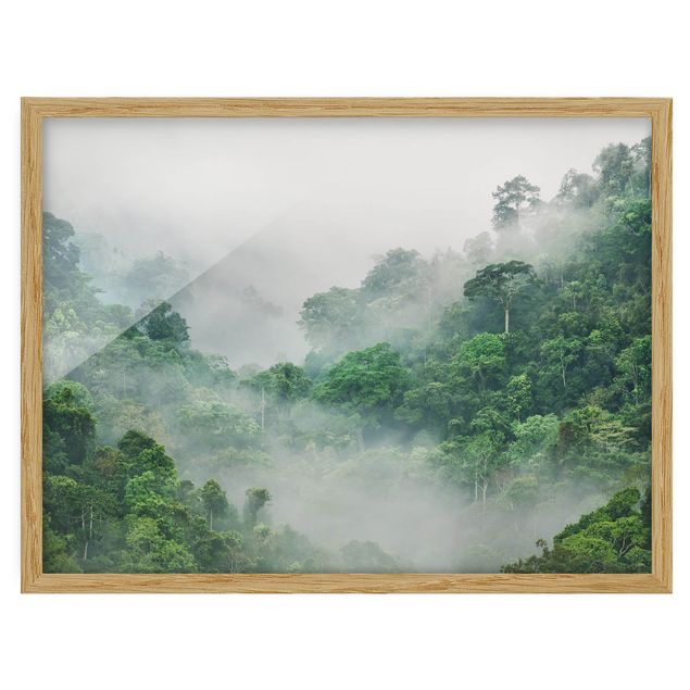 Ingelijste posters Jungle In The Fog