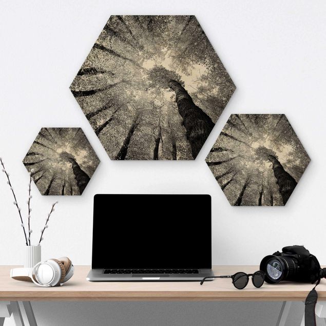 Hexagons houten schilderijen Trees Of Life II