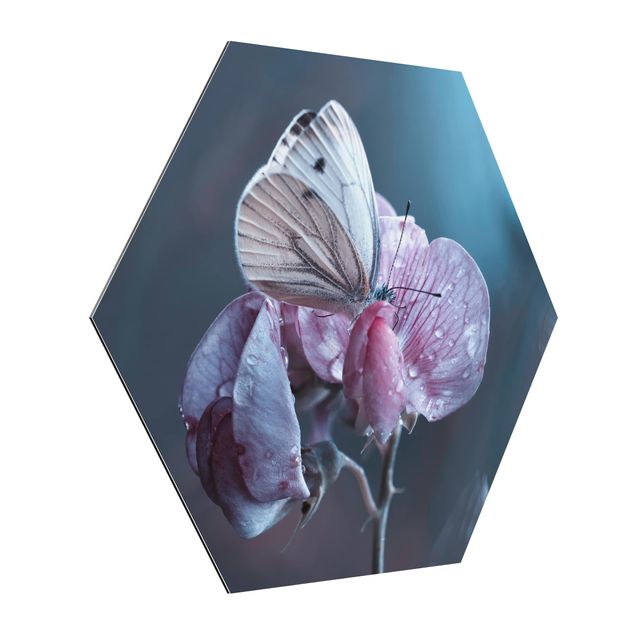 Hexagons Aluminium Dibond schilderijen Butterfly In The Rain