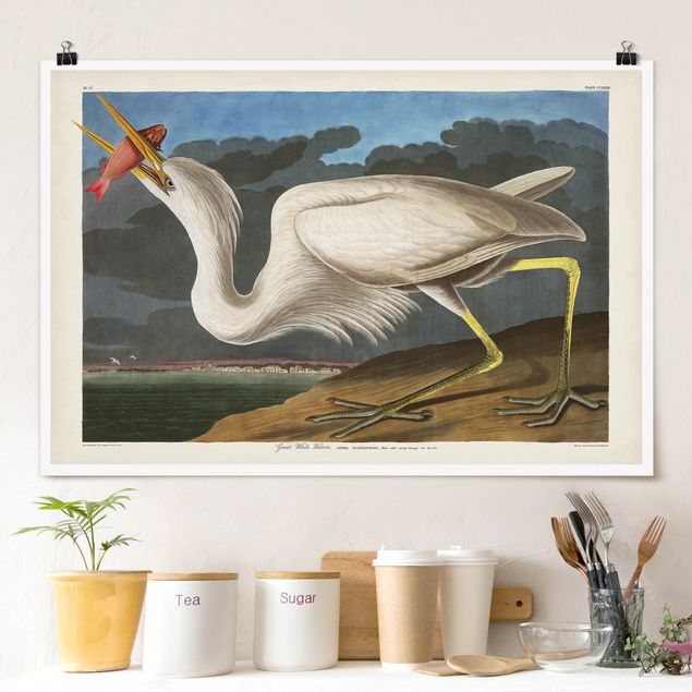 Posters Vintage Board Great White Egret