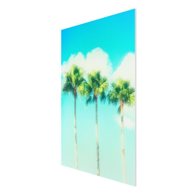 Forex schilderijen Palm Trees Against Blue Sky