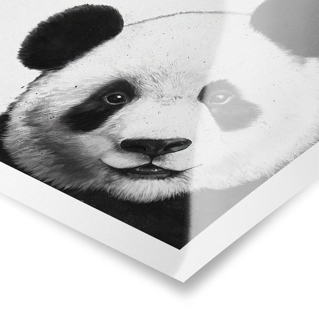 Posters Illustration Panda Black And White Drawing